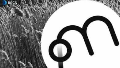 مولتيبلي فاي: تعزيز العائد على الأصول الرقمية المُرمزة