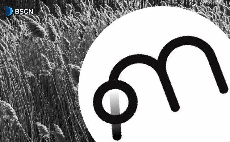 مولتيبلي فاي: تعزيز العائد على الأصول الرقمية المُرمزة