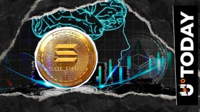 سولانا أفضل من إيثيريوم للذكاء الاصطناعي: تحليل مُتخصص