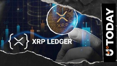 محامٍ مؤيد للعملات الرقمية يتوقع حركة صعودية لـ XRP مع عودة مليونيرات شبكة XRPL للمشهد