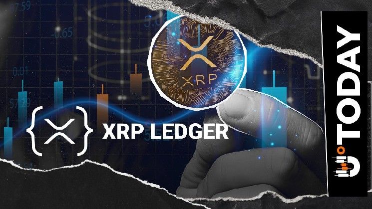 محامٍ مؤيد للعملات الرقمية يتوقع حركة صعودية لـ XRP مع عودة مليونيرات شبكة XRPL للمشهد