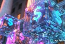 مؤسس الأكاديمية الأمريكية للبيتكوين يحصل على حكم 3 سنوات بسبب احتيال تشفيري بقيمة 2.9 مليون دولار