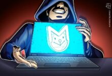 محفظة مسروقة يُشتبه في استيلاء السلطات الأمريكية عليها تطلق عملة ميم وتنهار بنسبة 97%