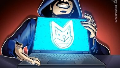 محفظة مسروقة يُشتبه في استيلاء السلطات الأمريكية عليها تطلق عملة ميم وتنهار بنسبة 97%