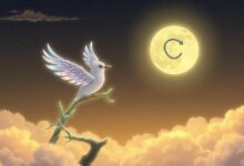 إقلاع عملة مونبيرد (BIRB): كوينبيز تعلن عن إدراج رئيسي لرمز NFT في 2025