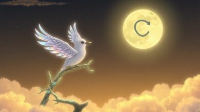 إقلاع عملة مونبيرد (BIRB): كوينبيز تعلن عن إدراج رئيسي لرمز NFT في 2025