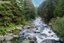 عملة RIVER المدعومة من آرثر هايز تحقق ارتفاعًا صاروخيًا بنسبة 1,200% في ثلاثة أسابيع