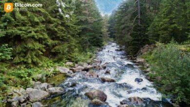 عملة RIVER المدعومة من آرثر هايز تحقق ارتفاعًا صاروخيًا بنسبة 1,200% في ثلاثة أسابيع