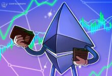 عاصفة مثالية من النشاط تدفع إلى ارتفاع قياسي في محافظ إيثيريوم الجديدة