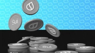 شبكة Sui تعود للعمل بعد توقف دام ست ساعات بسبب "تعطل الشبكة"