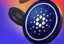 كاردانو توزع رموزًا بقيمة 77 مليون دولار على 11 ممثلاً مفوضًا لتعزيز المرونة والتنوع