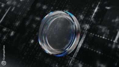 منصة الأسهم الرقمية xStocks تتجاوز 17 مليار دولار من إجمالي حجم التداول