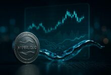 التكتيكات المعقدة وراء ديناميكيات سوق عملة HYPE