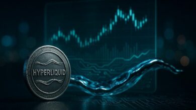التكتيكات المعقدة وراء ديناميكيات سوق عملة HYPE