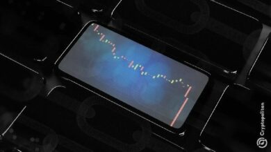 انخفاض حالات الاحتيال يخفي أكثر الأعوام تكلفة في عالم العملات الرقمية