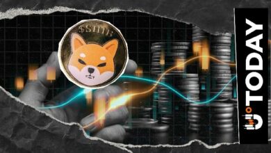 مسؤول في شيبا ينوّه بوظيفة حاسمة: "شيبا تدين لك"