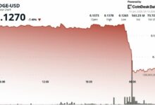 انخفاض عملة DOGE بنسبة 7% مع مبيعات الحيتان تدفع السعر تحت 0.13 دولار