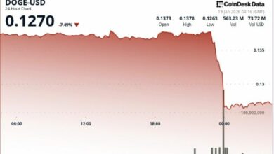 انخفاض عملة DOGE بنسبة 7% مع مبيعات الحيتان تدفع السعر تحت 0.13 دولار