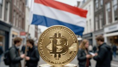 هولندا تفرض ضريبة على أرباح العملات المشفورة غير المحققة: دليلك الشامل