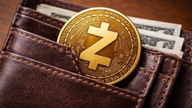 سعر Zcash يهوي مع تراجع الاهتمام بخصوصية العملات الرقمية خلال الانخفاض العام