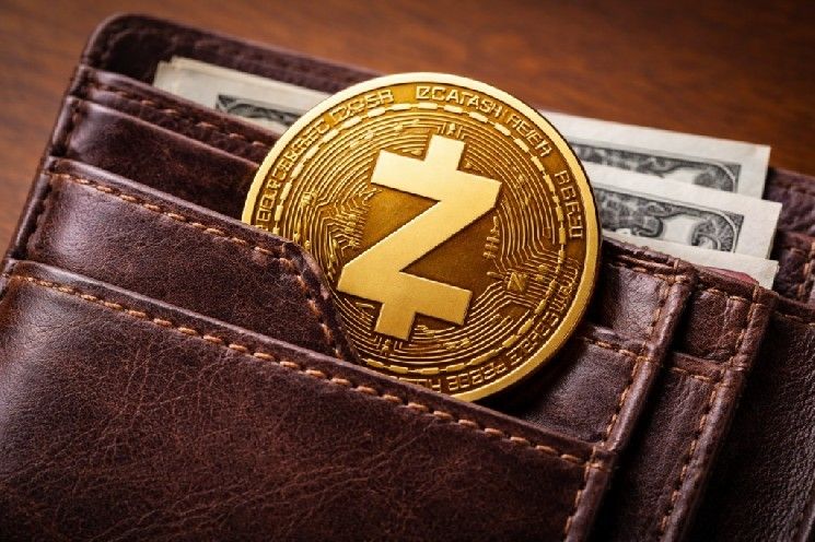سعر Zcash يهوي مع تراجع الاهتمام بخصوصية العملات الرقمية خلال الانخفاض العام