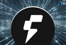 ما هو Fogo؟ دليل شامل للطبقة الأولى القائمة على SVM والتي تستهدف التنفيذ الفوري