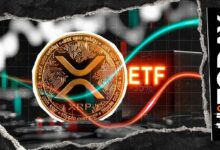 صناديق XRP المتداولة تسجل أكبر تدفق أسبوعي في 2026