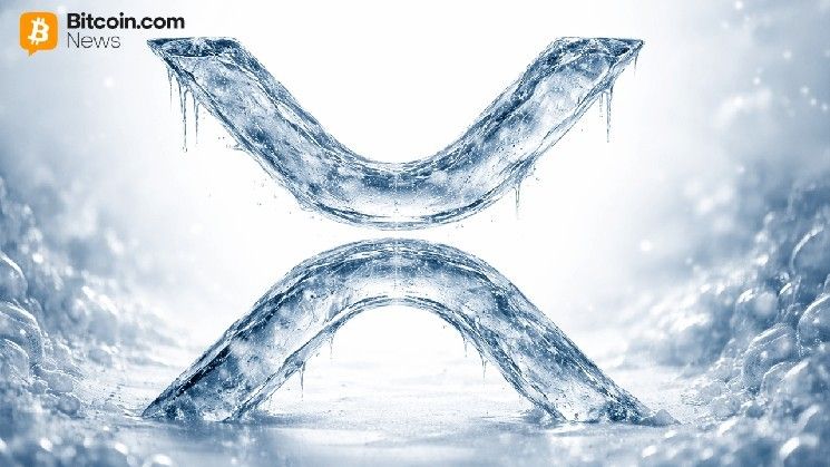 آلة الرافعة المالية لـ XRP تدور مع صعود حجم المشتقات