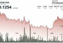 انخفاض سعر دوجكوين 5% إلى 12 سنتاً بعد اختراق الدعم الفني