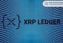 عملة XRP تتصدى لتقلبات الأسعار وعدم الاستقرار السياسي: تصريح من أحد أبرز المدققين