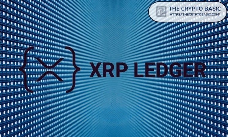 عملة XRP تتصدى لتقلبات الأسعار وعدم الاستقرار السياسي: تصريح من أحد أبرز المدققين