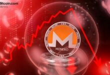 عملة مونيرو تهوي 40% من قمتها التاريخية مع استهداف الهند عملات الخصوصية