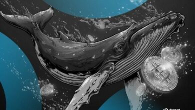 حيتان البيتكوين الجديدة تتفوق على القديمة في صراع بقيمة 6 مليارات دولار على المعروض