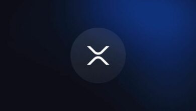 عملة XRP تستهدف 6-14 دولاراً بعد الهزة الأخيرة: تحليل خبير معتمد في موجات إليوت