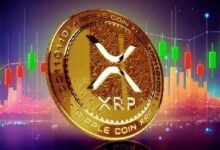 عدد محافظ XRP المليونية يرتفع لأول مرة منذ 2025.. هل سيتجه السعر صعودًا؟