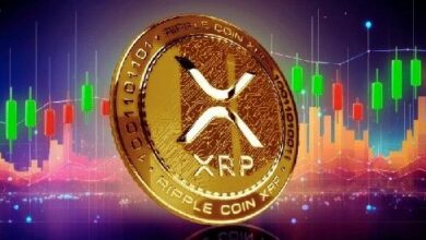 عدد محافظ XRP المليونية يرتفع لأول مرة منذ 2025.. هل سيتجه السعر صعودًا؟