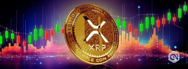 عدد محافظ XRP المليونية يرتفع لأول مرة منذ 2025.. هل سيتجه السعر صعودًا؟