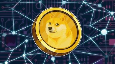 بعد شهور من الصمت: عملة دوجكوين (DOGE) تستعد لخطوة جديدة