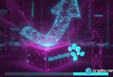 مدير MicroStrategy يعاود شراء الأسهم بعد توقف دام عامين