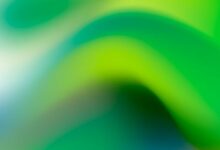 شراكة تشينتاي في توكنة الطبيعة الإندونيسية