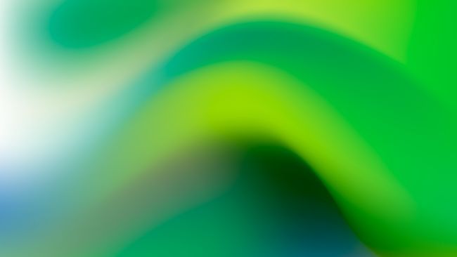 شراكة تشينتاي في توكنة الطبيعة الإندونيسية