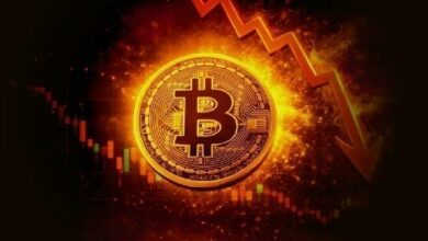 لماذا قد لا يدوم هذا الصعود في سعر البيتكوين؟
