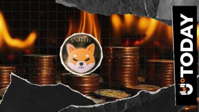 معدل حرق عملة Shiba Inu يرتفع بنسبة 500% في دفعة نادرة لتعزيز السعر