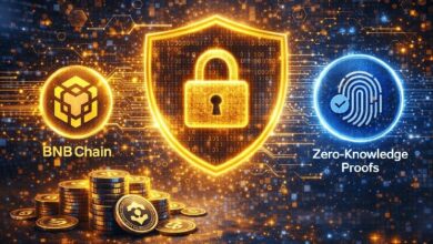 سلسلة BNB تطلق طبقة خصوصية قابلة للبرمجة باستخدام براهين المعرفة الصفرية