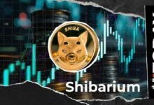 صمت مطوري Shiba Inu يثير قلق مجتمع Shibarium.. ما الذي يحدث؟