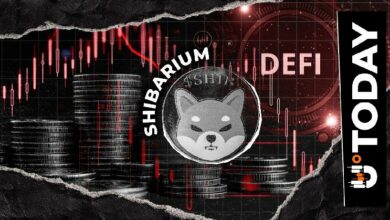 مؤشر رئيسي في شبكة شيباريوم يهبط 36% رغم انتعاش سعر SHIB