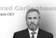 "رئيس ريبل: إدراج RLUSD على بينانس خطوة إيجابية للغاية لمستقبل العملات المستقرة"