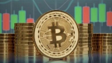 سعر البيتكوين يدخل مرحلة عالية المخاطر مع تراجع نشاط المحافظ الصغيرة