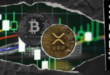 سيناريو السوبر سايكل لـ XRP لم ينته بعد: مؤشر بولينجر بانز يحافظ على إمكانية صعود 56% مقابل البيتكوين