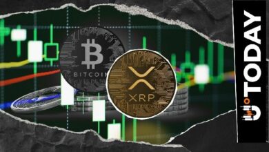 سيناريو السوبر سايكل لـ XRP لم ينته بعد: مؤشر بولينجر بانز يحافظ على إمكانية صعود 56% مقابل البيتكوين
